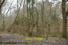 Photo 6x4 Archer Wood Battle/TQ7416  c2021