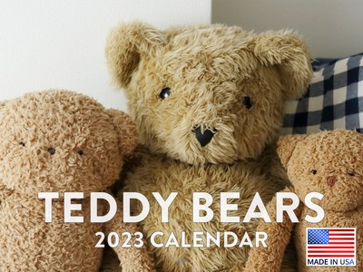 Teddy Bear Calendar 2023 Cute Kids Room Decor 18 Monthly Wall Large Planner  | eBay