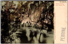 Antique Postcard Perrine Sulphur Spring View Tampa Tampa, FL 1900s