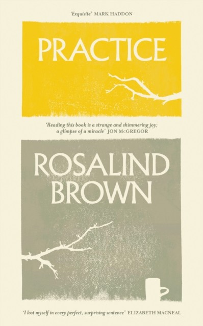 Practice by Rosalind Brown (Paperback Book)