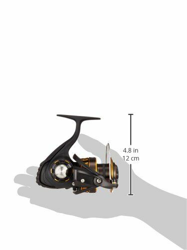 Daiwa 16 BG 3500H Spininng Reel Gold Black Saltwater Fishing jigging, —  akibashipping