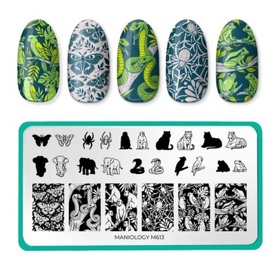 Maniology nail stamping plate M613