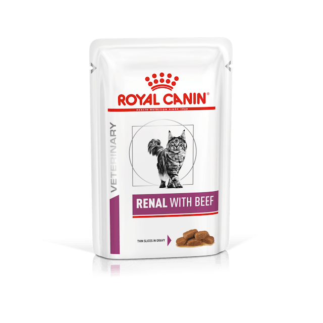 Royal Canin Buste Gatto Renal Manzo 12x85gr
