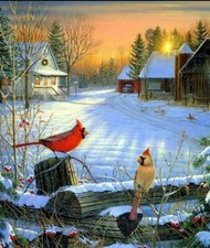 NEEDLEPOINT Canvas 14 or 18 count Cardinals, Red Birds  Christmas