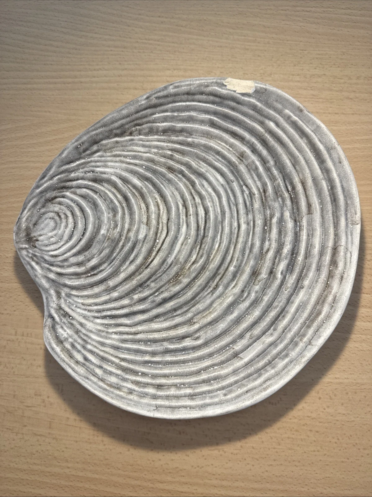 Assiette Coquille Guillot Avec Un Éclat