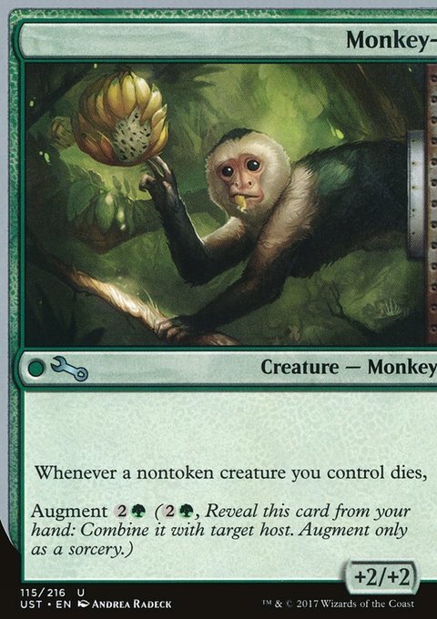 monkey Magic  Magic Monkey - Elev8 Seeds