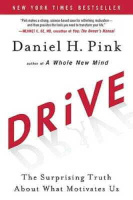 Drive: The Surprising Truth About What Motivates Us - Hardcover - VERY GOOD