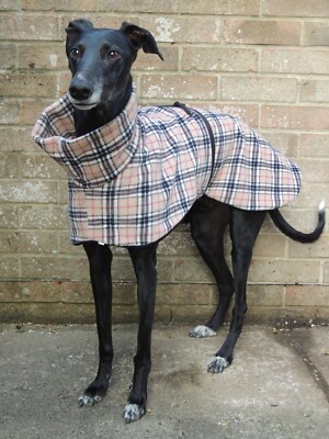 Whippet Coat Dog And Home Greyhound Coats SOFA STING ELITE