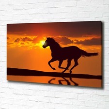 Tulup Dipinto Su Tela Pittura Su Un Muro 100x70cm  - Tramonto A Cavallo