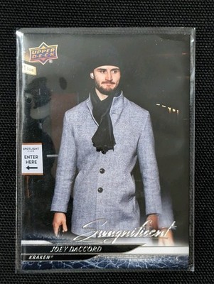 2024-25 Upper Deck Series 2 - Joey Daccord #395 Swagnificent