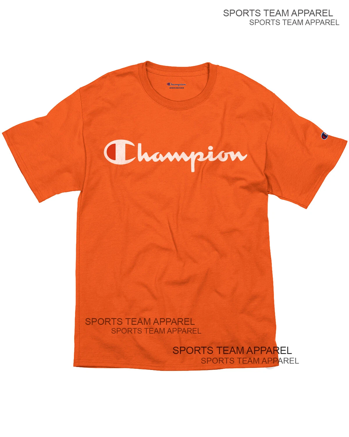 Champion Men's Jersey T-Shirt Classic Fit with Script Logo