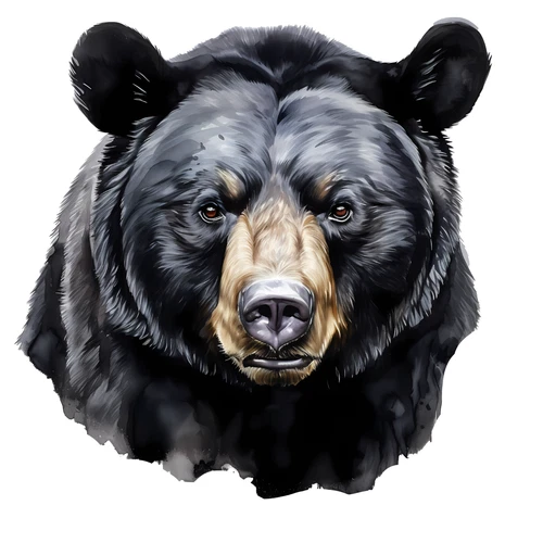 Black Bear Self Adhesive Sticker