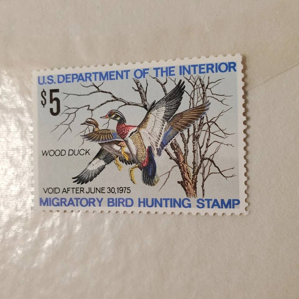 Collectible Migratory Bird Hunting Stamp Wood Duck 1974 Hobbies - Image 2 of 4