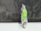 Oscar The Grouch Mini Bean Bag - 1999 Kellogg’s Cereal Box Premium - New Sealed — photo 5