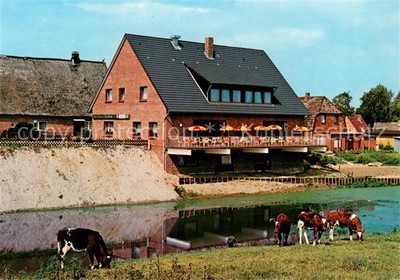 Oelixdorf Hotel Restaurant Auerhahn Cattle Pasture
