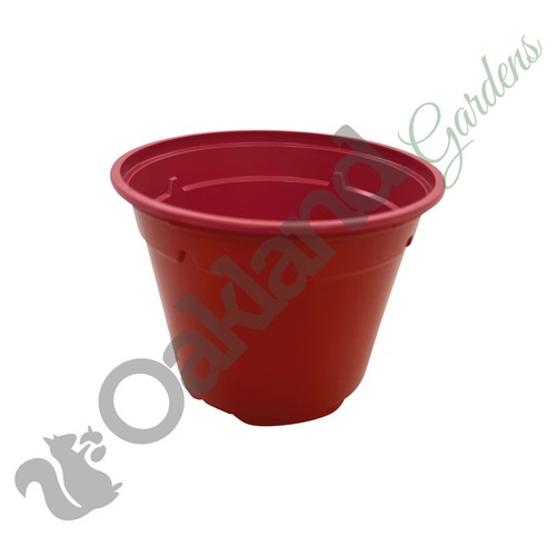 Multi Coloured Plastic Plant Pots Nursery Pot Multicoloured 9cm 10.5cm 13cm 14cm - Picture 27 of 36