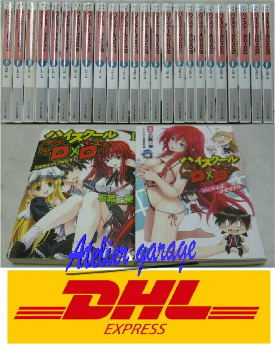 High School DxD, Vol. 3 (light Novel) by Ichiei Ishibumi, Paperback