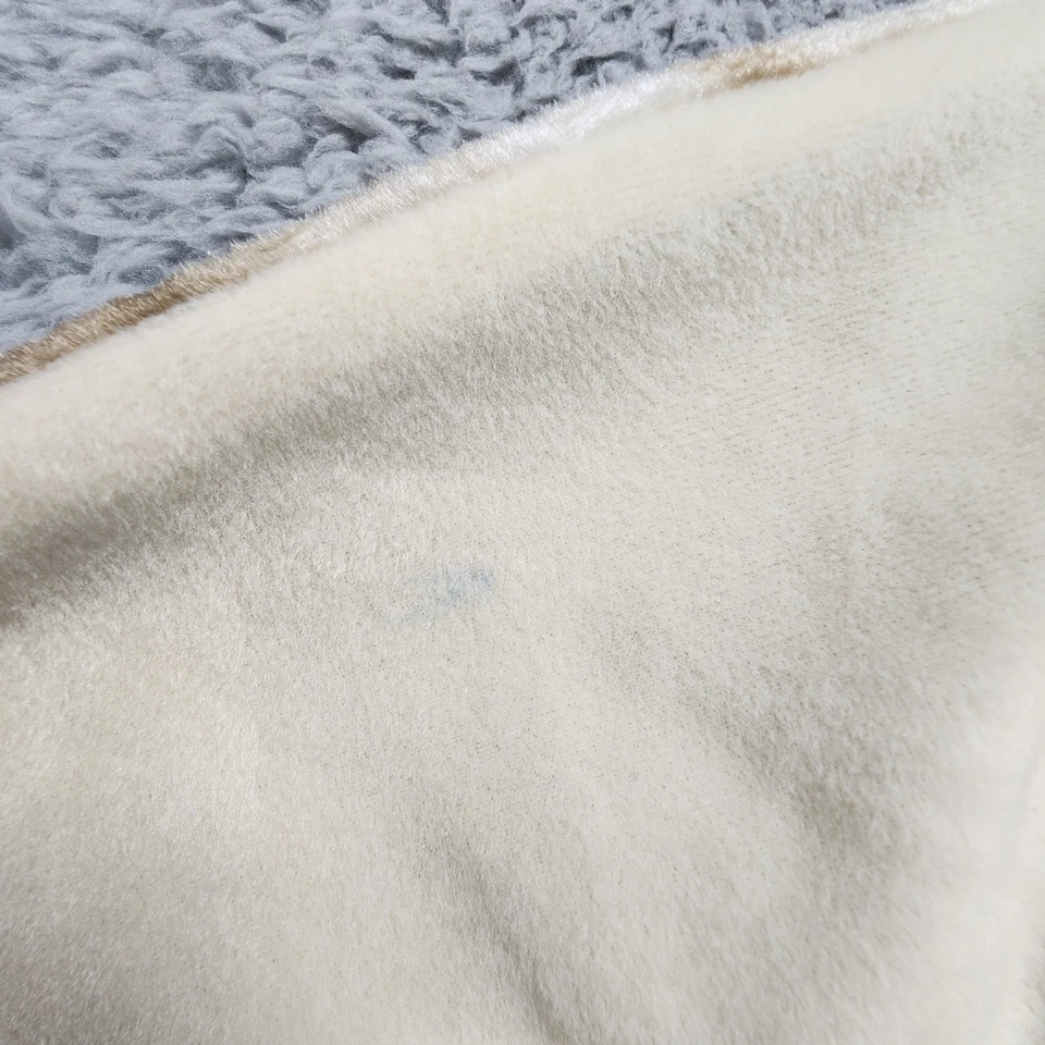 Pottery Barn Kids Pterodactyl 万圣节服装 尺寸 3T 绿色 无面具 全新 带标签 — 第 3/4 张图片