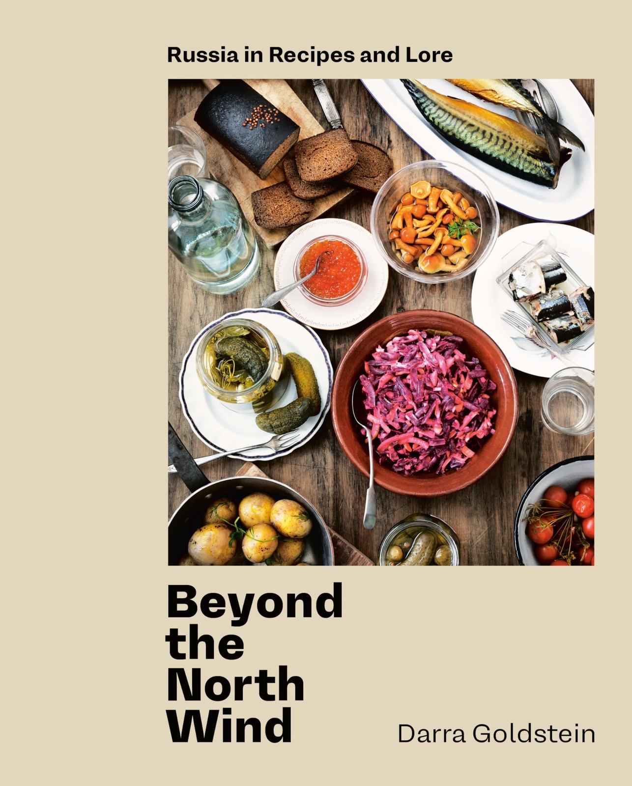 Beyond the North Wind: Recipes and Stories from Russia by Goldstein New^*