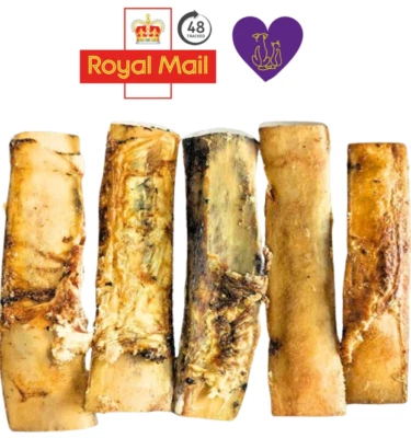 Maxi Large Roast Beef Rib Bones Ribs Natural Dog Chew Treat Healthy Dental Aid