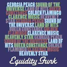 Various Artists - 'Equidity Funk: Hard To Find Gems From P&P Records' (CD)