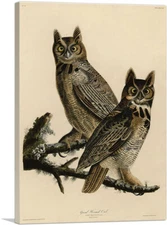 ARTCANVAS Great Horned Owl Canvas Art Print by John James Audubon