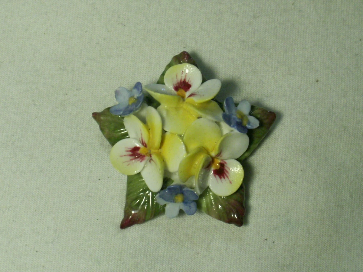 Aynsley brooch shop