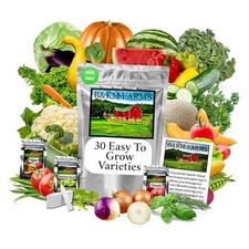 Beginner Survival Seed Vault: 20,000 Heirloom 20,000 Seeds Mylar Seed Packets