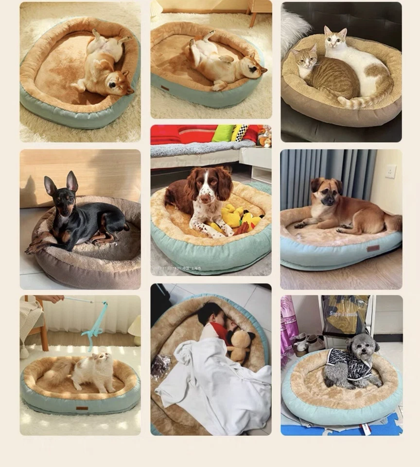 Colchón lavable cama perro nuevo Foto 3 de 4