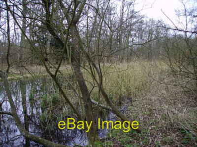 Foto 6x4 Barton Stacey - River Dever Ein Blick stromaufwärts Richtung Bullingto c2008
