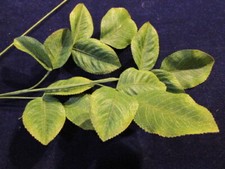 Vintage Millinery Flower Fabric Leaf Cluster 2 1/2-3" Shaded Green on Branch G9x