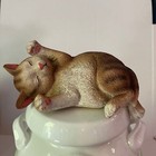 Foto 2 di 8