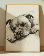 PIT BULL DRAWING PRINT SKETCH 8" x 10" DOG SLEEPING WALL ART HOME DECOR