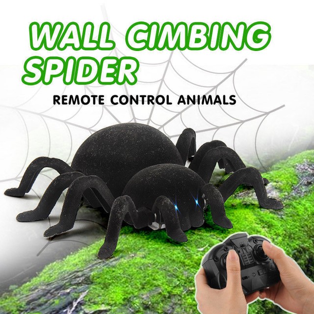 remote control spiders for sale