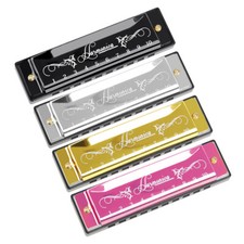 10 Hole 20 Tone KeyC Diatonic Harmonica with Case Gift for Beginner