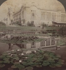 Agricultural Grounds Gardens World's Fair St Louis Underwood Stereoview 1904