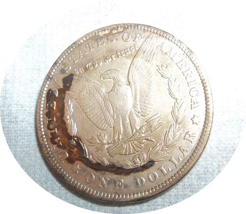 K657~ BELLO 1902 - Morgan argento $1 dollaro - Foto 3 di 5