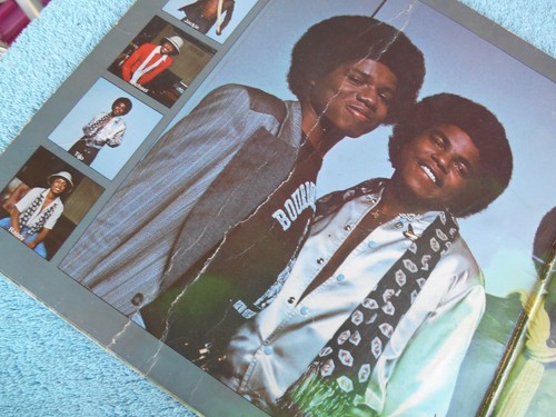 VINTAGE 1978 THE JACKSONS DESTINY EMPTY! GATEFOLD ALBUM COVER. EPIC 35552 - Imagen 8 de 11