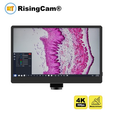 11.6inch LCD  4K 30fps HDMI and USB imx678 cmos sensor Digital microscope camera