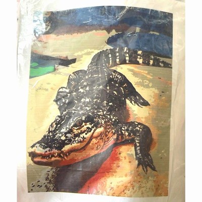 Paint by Numbers for Adults, Colorful Crocodile Alligator Kits 18x21 Canvas New