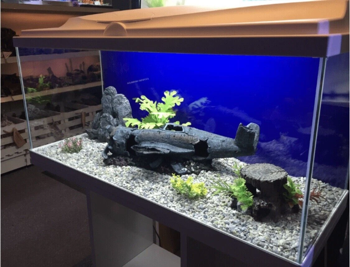 Aquarium 10L équipé avec vue en 360 - L.28 x l.28 x H.33 cm