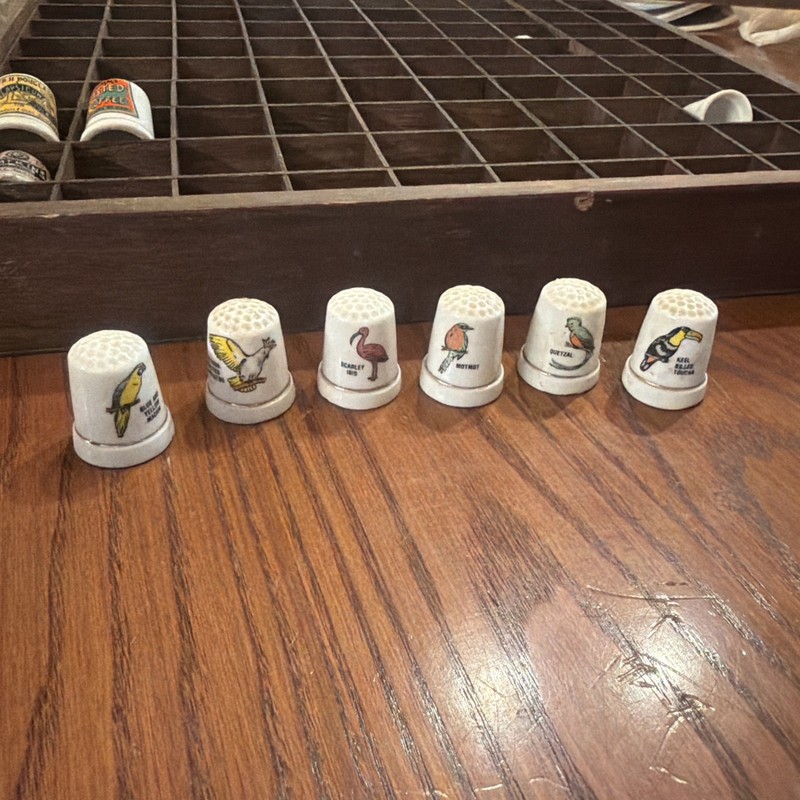 Set 6 Vintage Exotic Bird Porcelain Thimbles Sewing Thimble Macaw Toucan Birds
