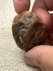 Banded Agate Chalcedony Rough Nodule Specimen, Brown Banded Rock - 1.61 oz — photo 7