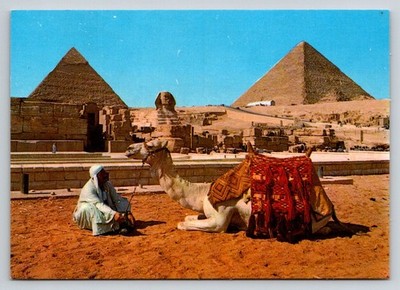 Vintage Giza Egypt Postcard - Sphinx, Pyramids, Man & Camel - Dar El Nile
