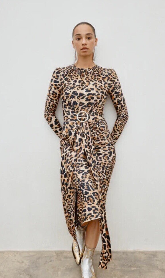 New Rabanne H&M Leopard Print Jersey Long Sleeve Dress Size Medium | eBay