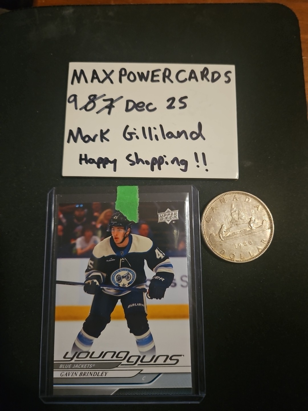 2024-25 UPPER DECK GAVIN BRINDLEY YOUNG GUNS #207