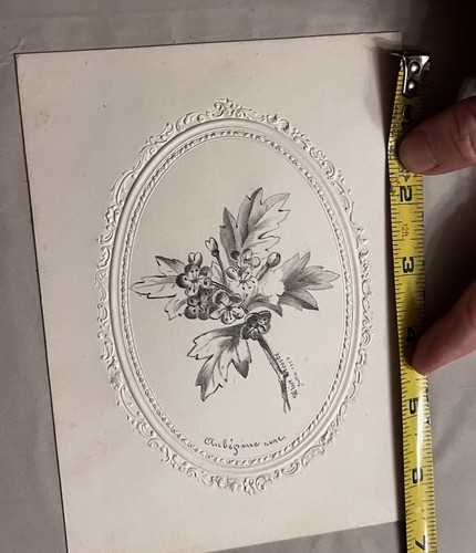 Antique 19th 1857 drawing French Pencil Paper Floral Embossed Paper 5”X7” - Picture 1 of 5