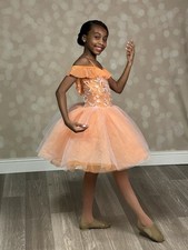 Girls Ballet Dance Costume Sz M