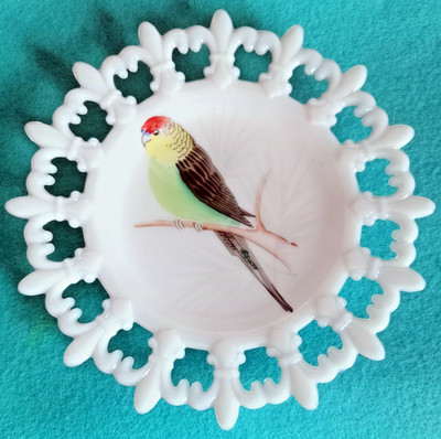 Vtg Westmoreland Milk Glass Painted Parakeet Bird Budgie Fleur-De-Lis Plate Dish