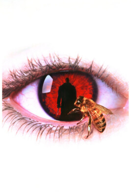 Candyman Horror Thriller Cinema Film Classic Movie Wall Art - POSTER 20''x30''